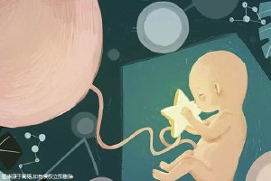 胚胎操作